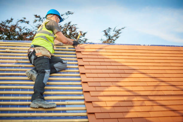 Best Cold Roofs  in Munhall, PA