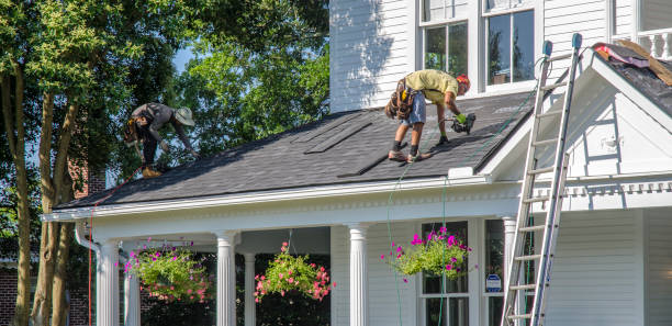 Best Green or Eco-Friendly Roofing Solutions  in Munhall, PA